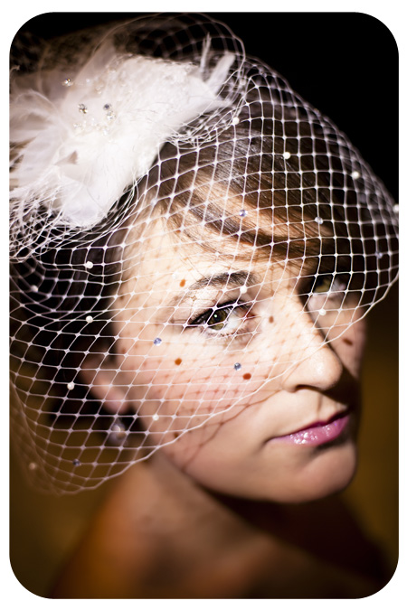 birdcage_431-edit