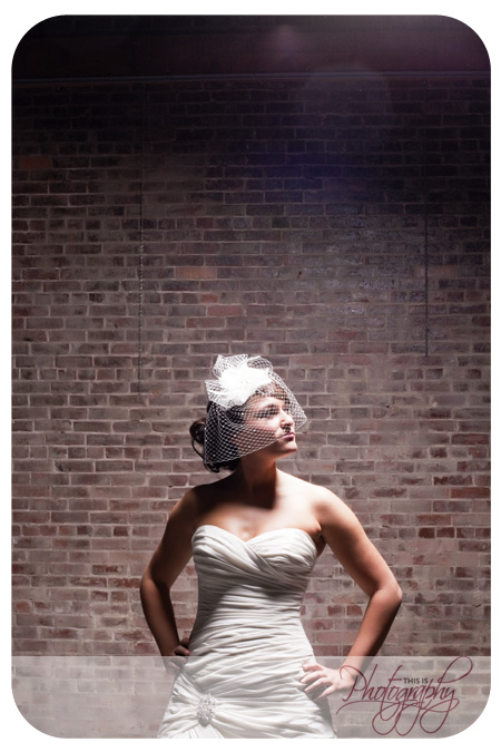 birdcage_771-copy