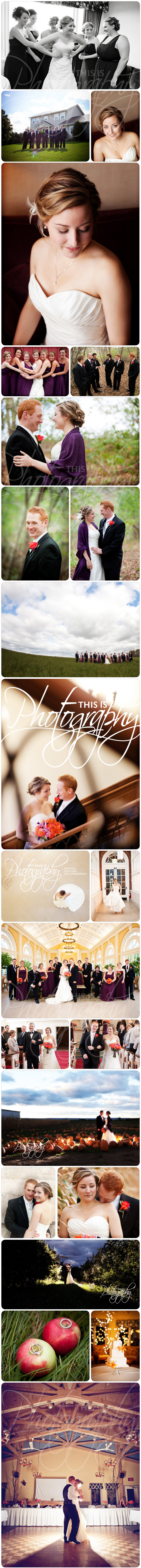 blogmeghanandandrew2